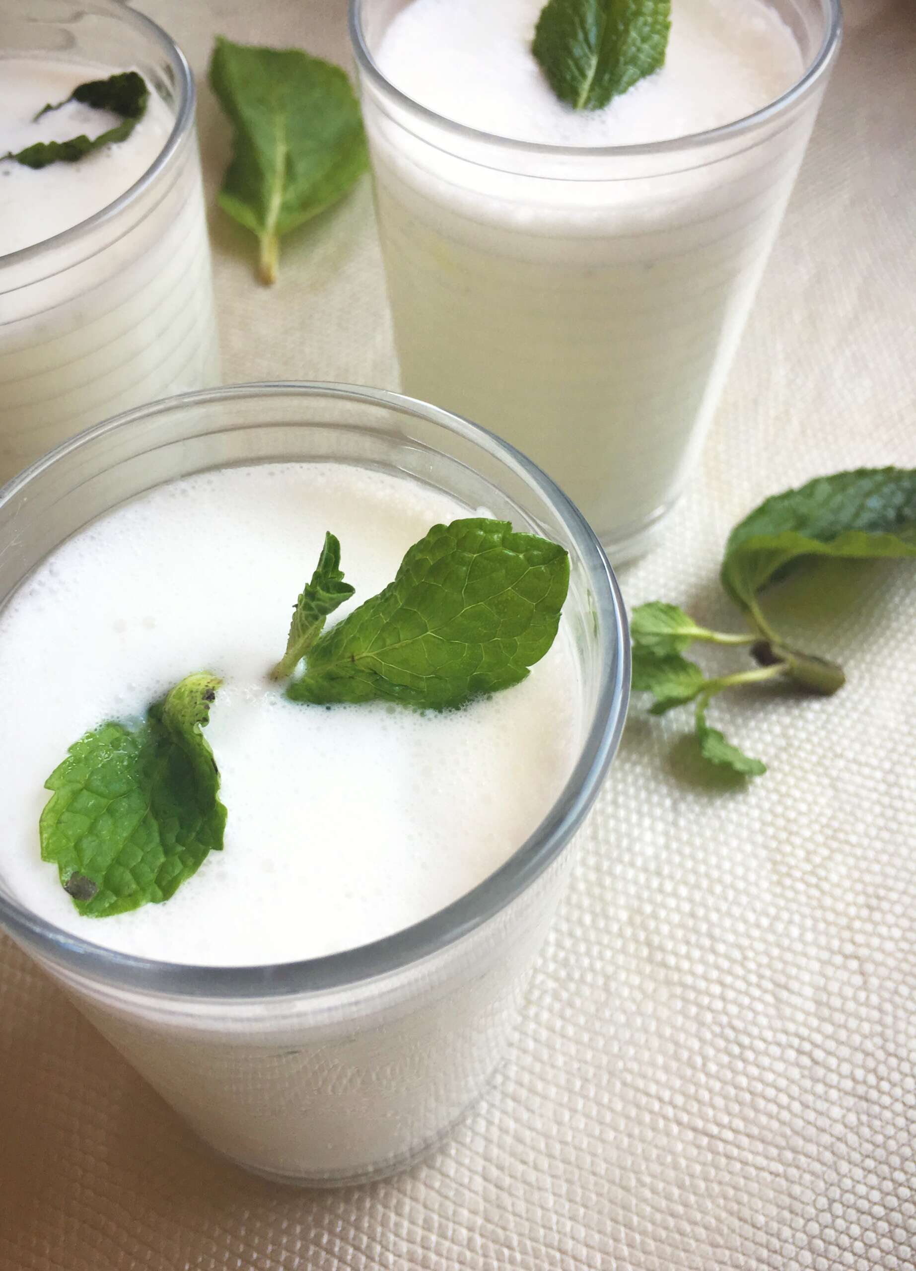 Mint Lassi - Smell the Mint Leaves