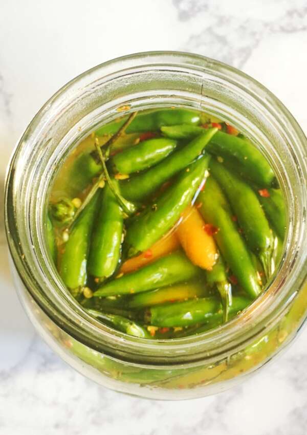 Chili Carrot Pickle – Achaar