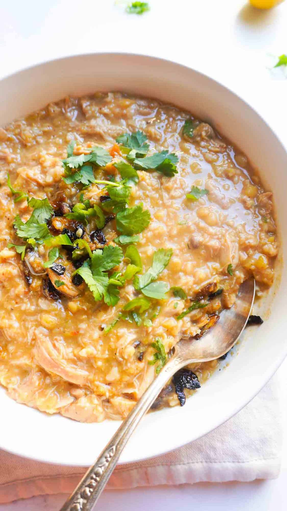 A bowl of chicken haleem with fried onion, cilantro and green chili garnish. A spoon on the side.