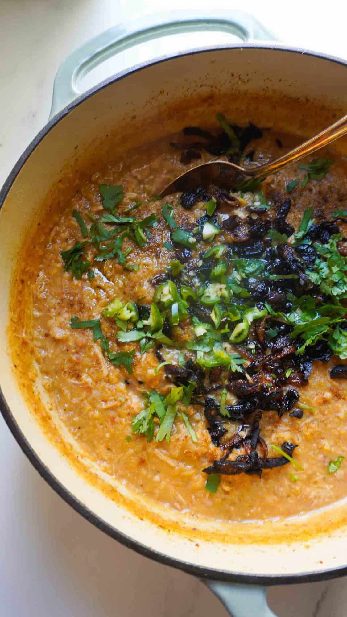 A pot of chicken haleem with fried onion, cilantro and green chili garnish. A serving spoon immersed as well.