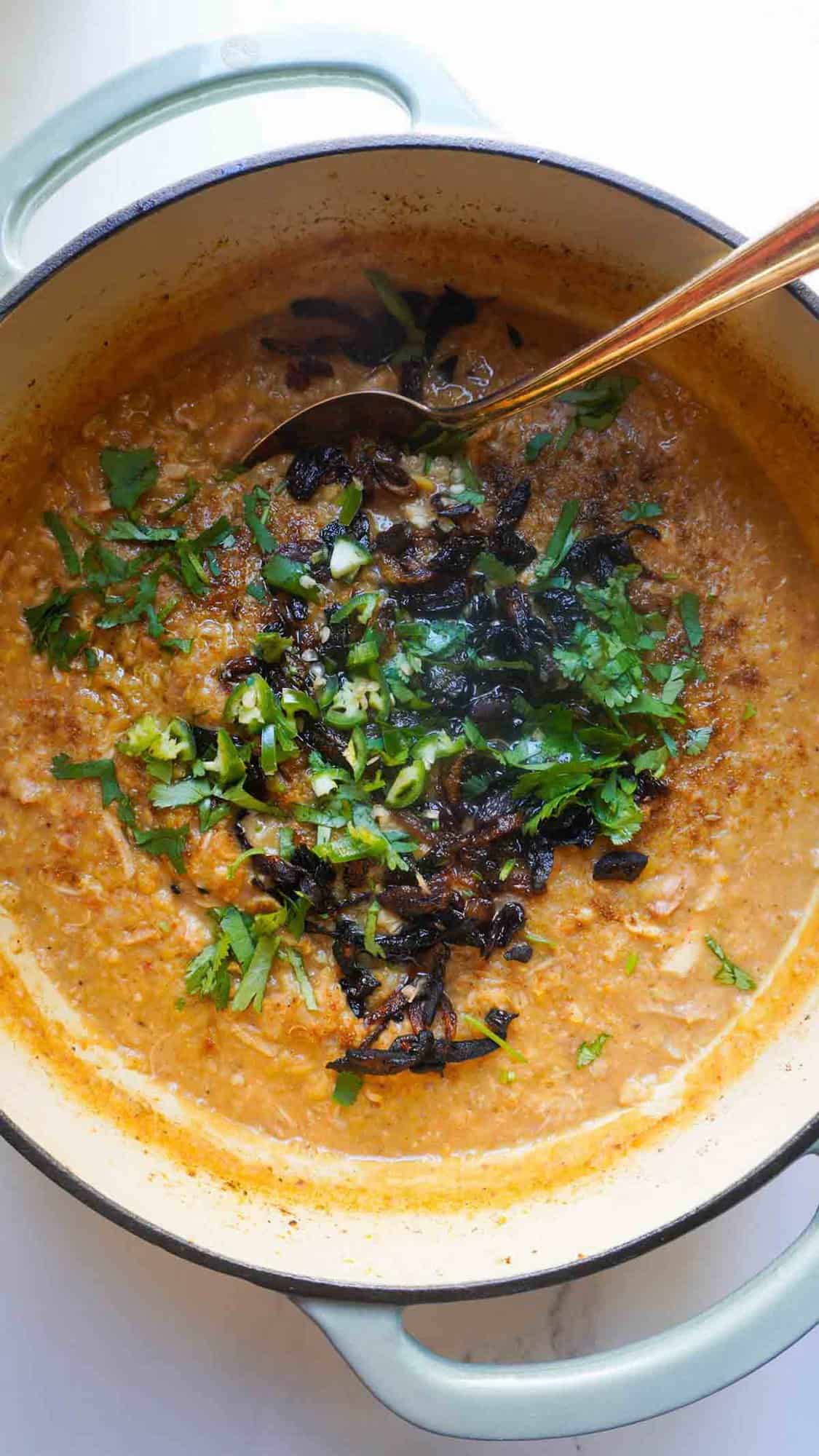 A pot of haleem with fried onion, chili and cilantro garnish and a serving spoon. 